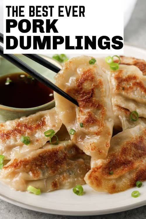 Fill your craving for Pork Dumplings by making them at home with this easy recipe!