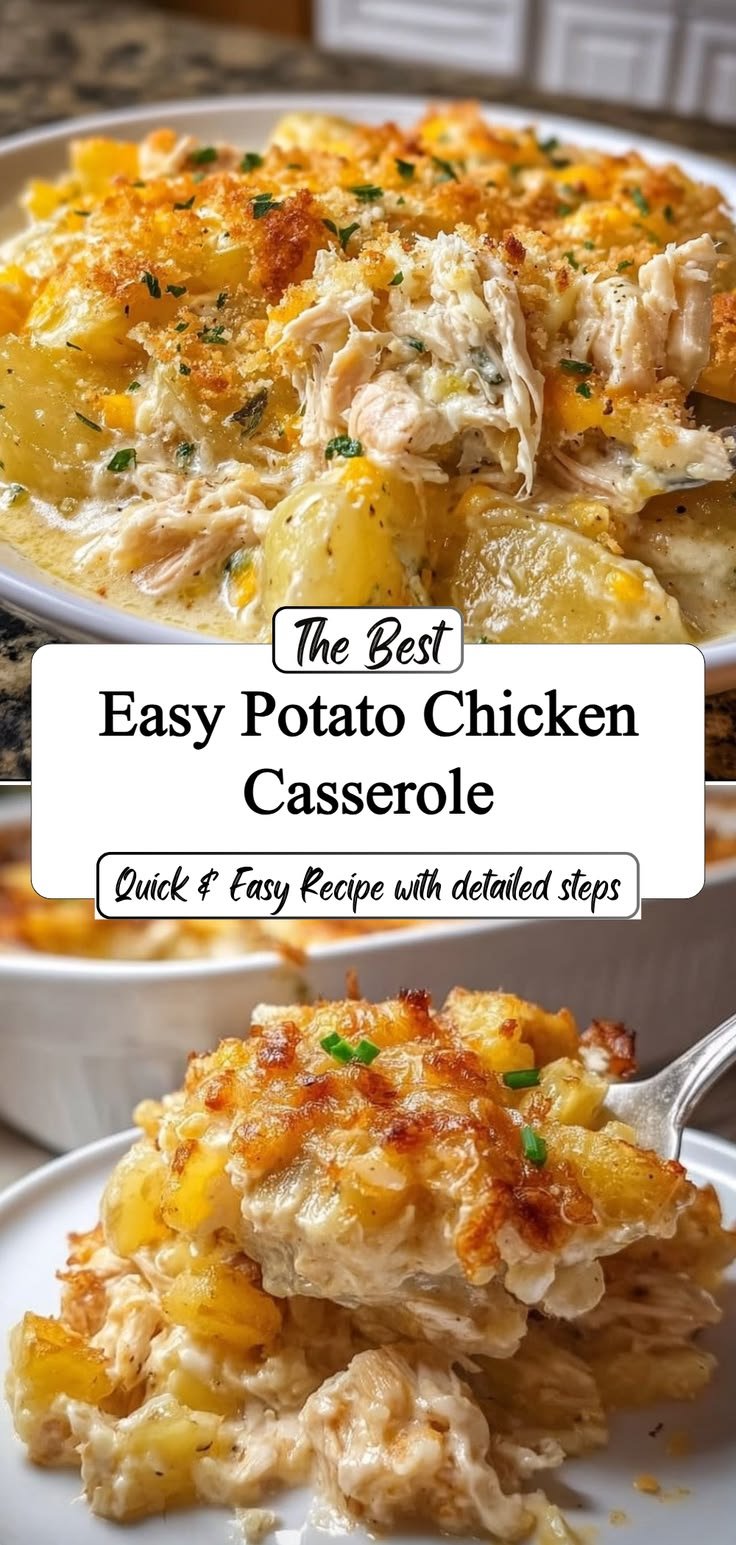 Easy Potato Chicken Casserole Everyone Will Love for Dinner Tonight