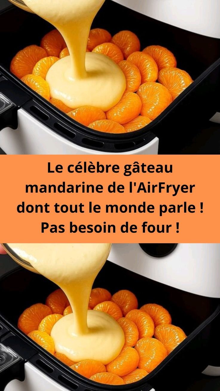 Le célèbre gâteau mandarine de l'AirFryer dont tout le monde parle ! Pas besoin de four !