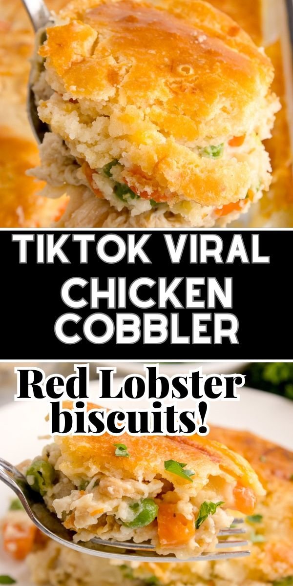 TikTok Viral Chicken Cobbler