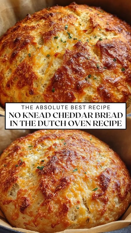 Warm No Knead Cheddar Bread in the Dutch Oven Everyone Loves