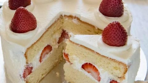 Japanese Strawberry Sponge Cake (Strawberry Shortcake)