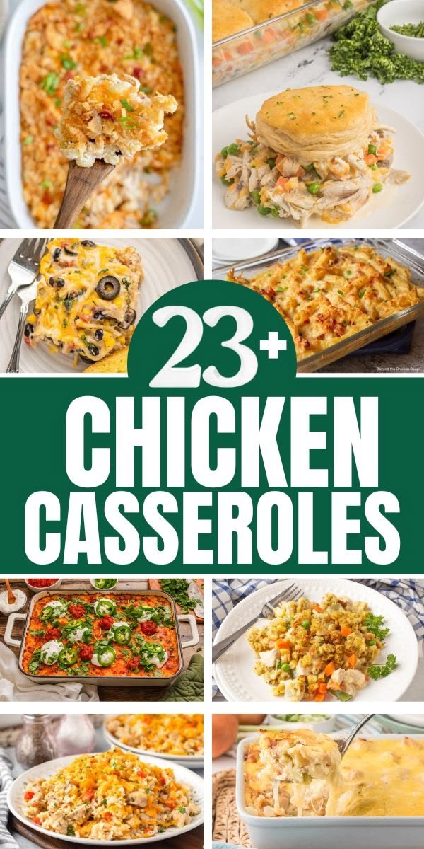 23+ Chicken Casserole Recipes