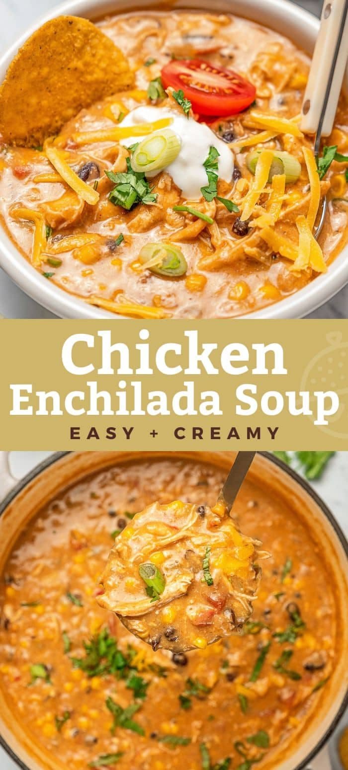 Chicken Enchilada Soup