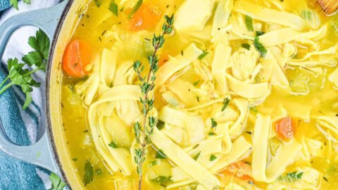 Healing Chicken Noodle Soup