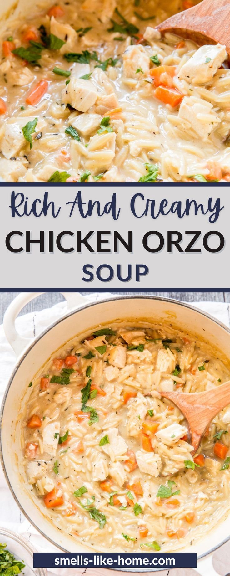 Rich And Creamy Chicken Orzo Soup