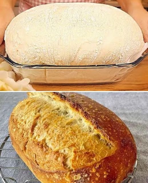 Questa ricetta compie 100 anni! Mia nonna preparava il pane rustico in questo modo.
Ingredienti:
1 cubetto di lievito
15 g di margarina, morbida o burro
10 g di sale
450 g farina di grano tenero tip...