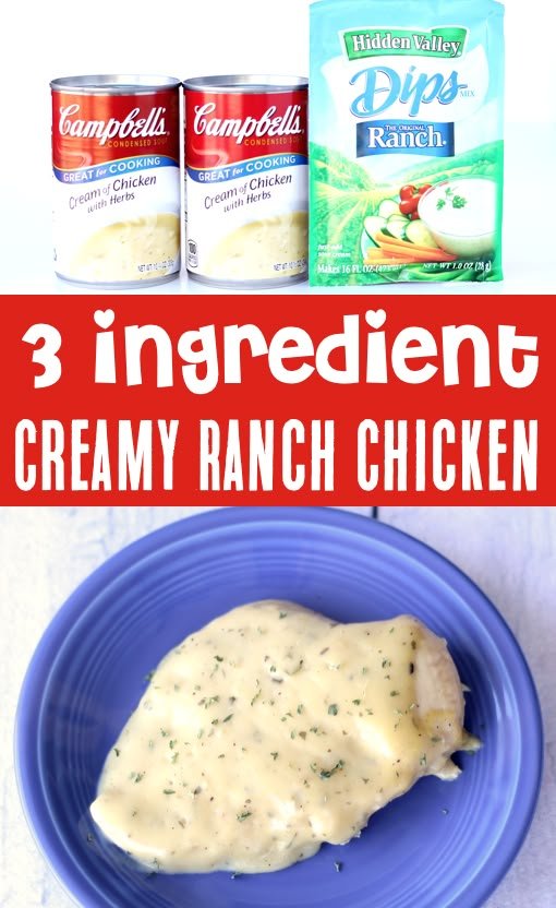 Crockpot Recipes - Easy Creamy Ranch Chicken! {Just 3 Ingredients}