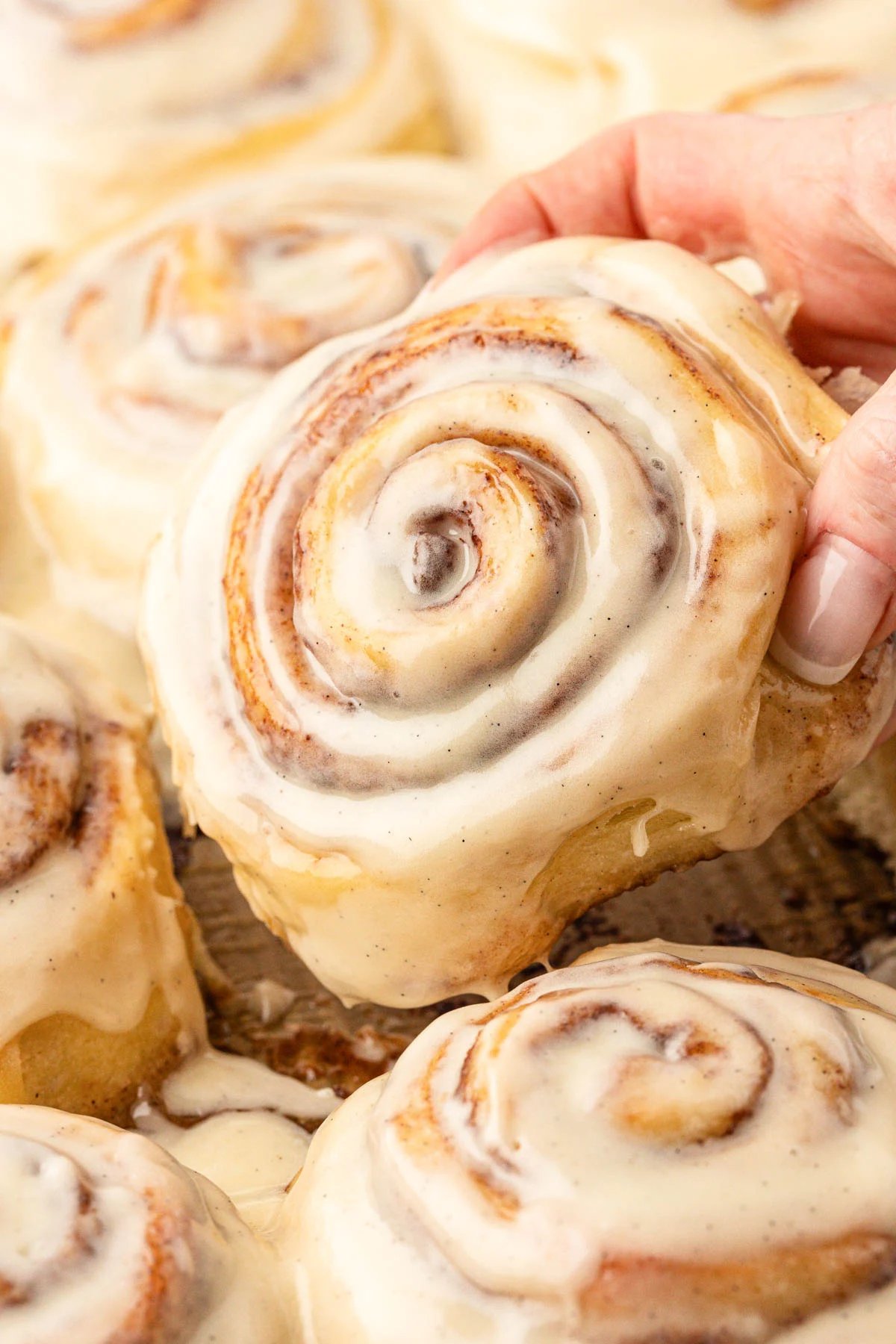 Amish Cinnamon Rolls
